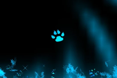 Paw Print Wallpapers   (