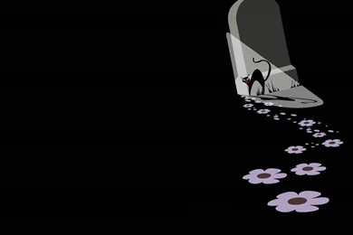 Cats: Black Cat Animal Halloween Paw Nature Flower Pictures For HD ...