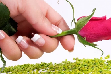 Valentine Flower Wallpapers : Wallpapers13.com