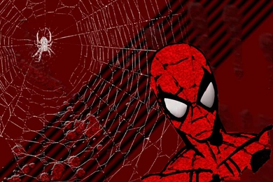 Spidey Wallpapers By Church2785 On DeviantArt