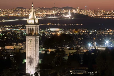 Photography – Fuglee