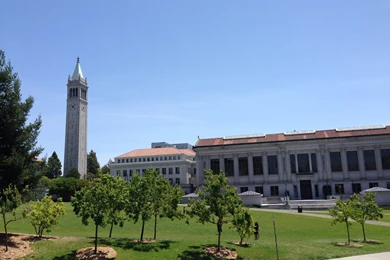 Train It Tuesdays: Big C Hike And Berkeley/SF