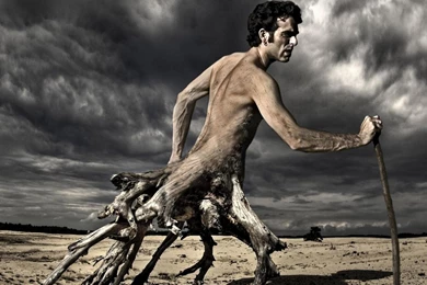 Fantastic Wallpapers HD