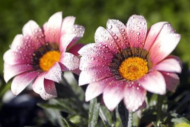 Full Screen Wallpapers For Mobile   HD Wallpapers And Pictures