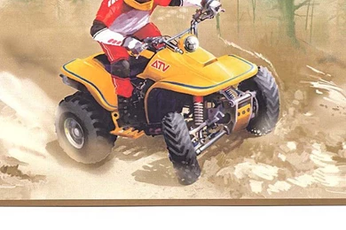 ATV, 4 WHEELER WALLPAPER BORDER