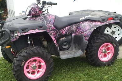 Liquid Concepts Water Transfer Printing • View Topic 4wheeler ...