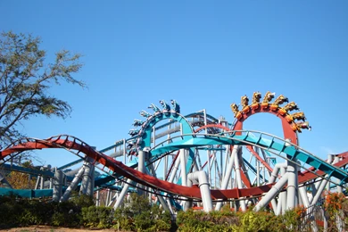 Carolina Panthers Blue Wallpapers