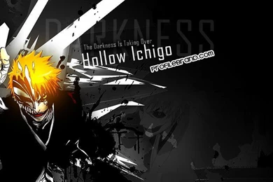 Hollow Ichigo Wallpapers   (