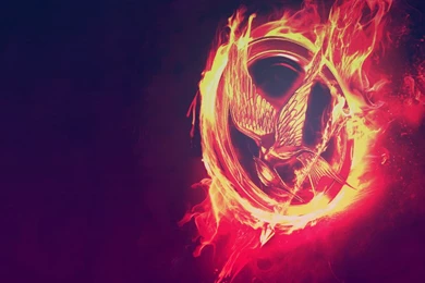 Excellent Hunger Games Wallpapers By Alicetheshort Dtflb ...