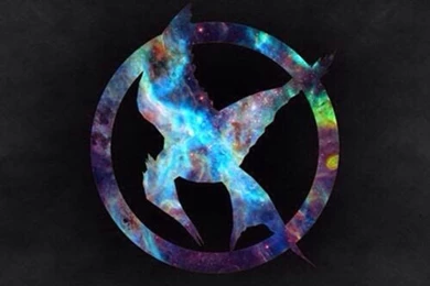 The Hunger Games Book Wallpapers