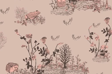 Pink Wallpaper, Pink Wallpapers Designs From Wall Library