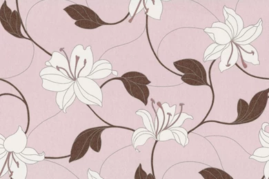 Brown And Pink Wallpapers 2015   Grasscloth Wallpapers
