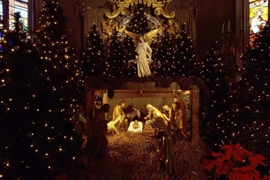 Blessed Is The King   Christmas Nativity Wallpapers Image