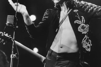 Download Led Zeppelin Wallpapers 1753x2597