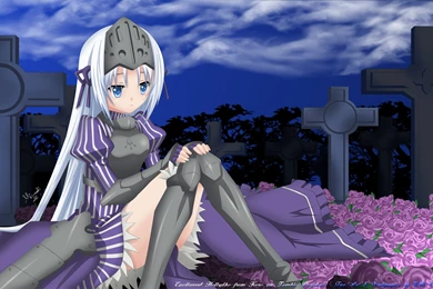 14 Is This A Zombie? HD Wallpapers