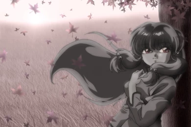 Shampoo By Tree   Shampoo (Ranma) Wallpapers (24176400)   Fanpop