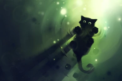 Black Cat With Green Eyes Wallpapers : HD Wallpapers Fuel