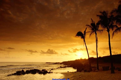 Nature Wallpapers Download