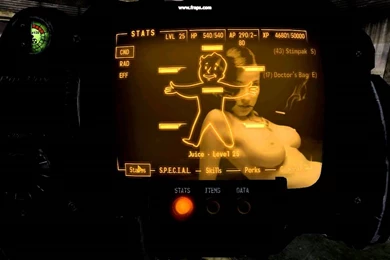 Fallout New Vegas Pipboy Screen Changer   YouTube