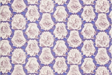 Brunschwig & Fils LA FONTAINE PLUMS ON PERIWINKLE BR 69521.234