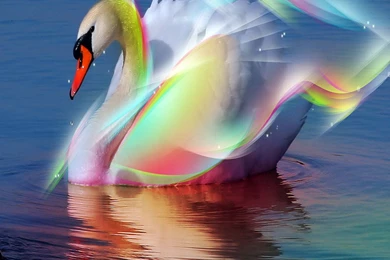 New iPad Wallpapers HD 2048x2048   Best Wallpapers