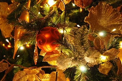 Happy Yule Day Pictures ~ Toptenpack.com