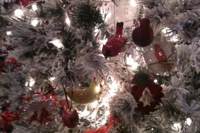 Yule Log Cabin closeup Of Cardinal Tree. Using This For My ...