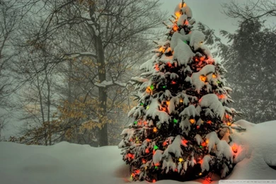 The War On Christmas Is Over! UK To Return To “Pagan Roots” Says ...