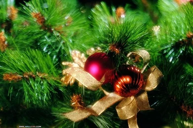 Close Up Of Christmas Ball   Christmas Ball Wallpapers 43   Wallcoo.net