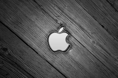 Ipad, Apple, Electronic Products, Brand, Logo, Silver, Wood ...