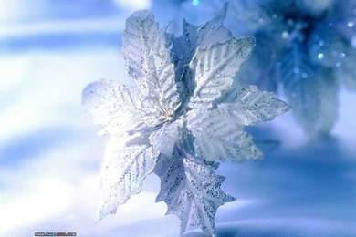 Christmas Holiday Decoration Wallpapers 19 Wallcoo.net