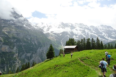 End Of Study, Start Of Play!