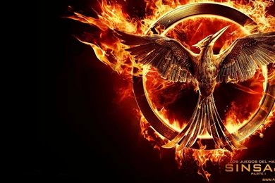 The Hunger Games Mockingjay Part 1 Hd Desktop Wallpapers