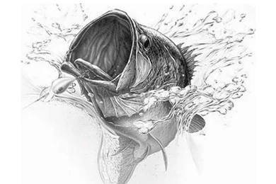 Wallpapers Boat Nitro Bass Boats 800x600