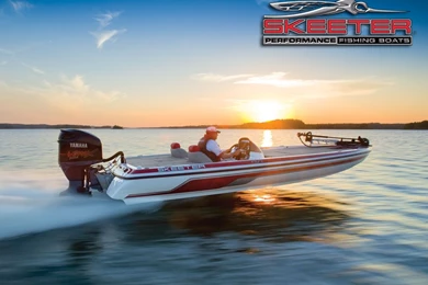 Skeeter :: Wallpapers