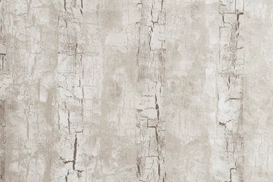 Tree Bark Wallpapers By Clarke & Clarke