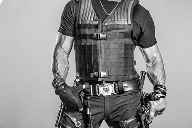 13 Quality The Expendables Wallpapers, TV & Movies