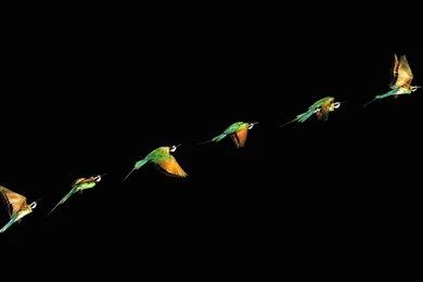 Wallpapers Success Quotes Football Datadiary Gud Mrng 1920x1080 ...