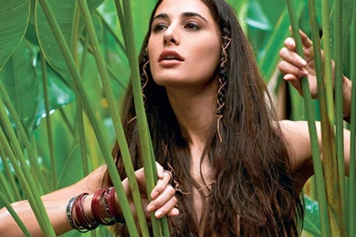 Nargis Fakhri HD Wallpapers 2015   Etc FN