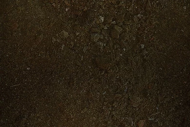 Free HD Wallpapers Downloads For The Iphone 4