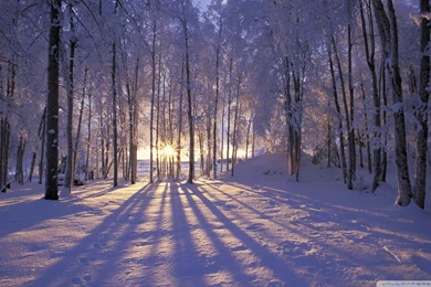 Winter Is Coming Wallpapers