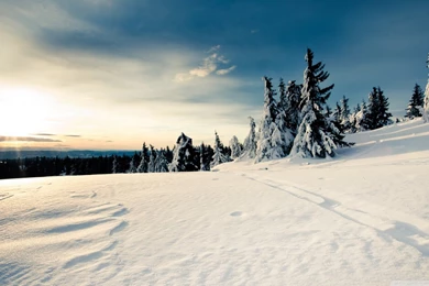 LollerCoasterLab: Wallpapers : Games, Hardware, Software And Other ...