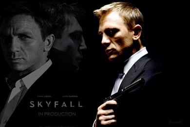 Daniel Craig Skyfall Wallpaper.