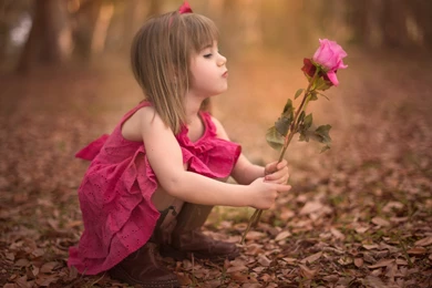 Girl Flower Rose Baby Fall Girl Flower Rose Baby Autumn Mood ...