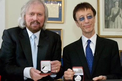 Top Bee Backgrounds Wallpapers