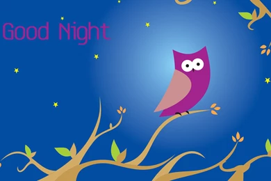 Good Night Wallpapers HD Pictures