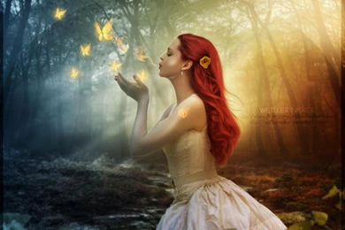 SWEET DREAMS WALLPAPER   (