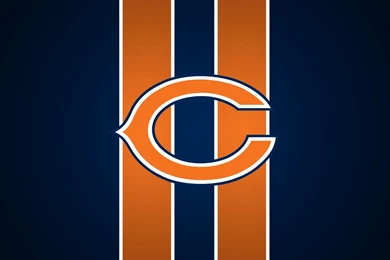 Chicago Est.1837: CHICAGO BEARS HIRE MATERIAL ARTS COACH