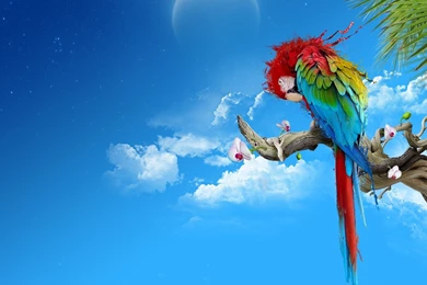 HD Anime And Animal Abstract Fantasy Wallpapers With Grafity ...