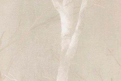 SG50307 ― Eades Discount Wallpapers & Fabric